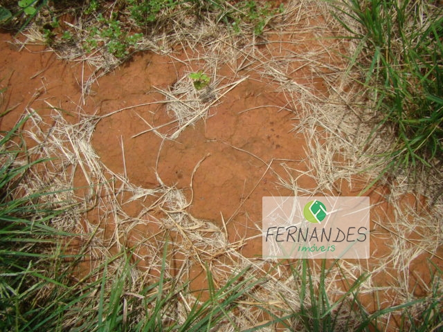 FAZENDA REGIÃO XINGÚ