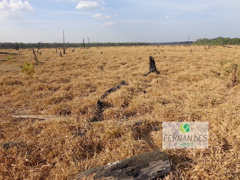 FAZENDA CONFRESA