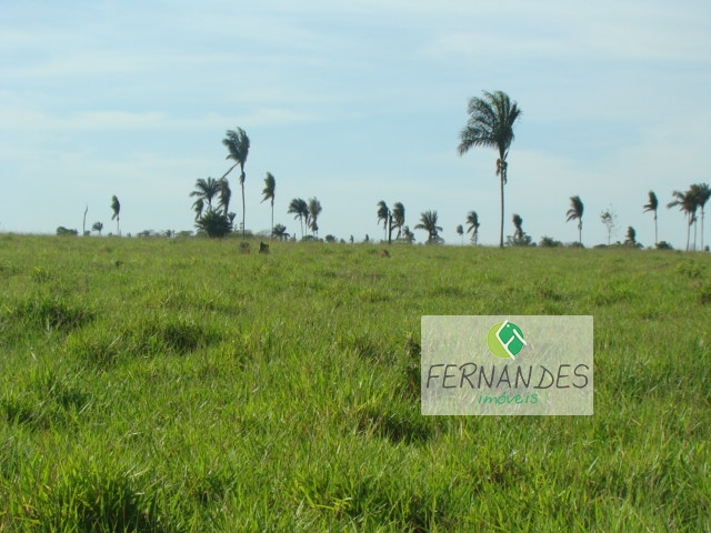 FAZENDA REGIÃO XINGÚ